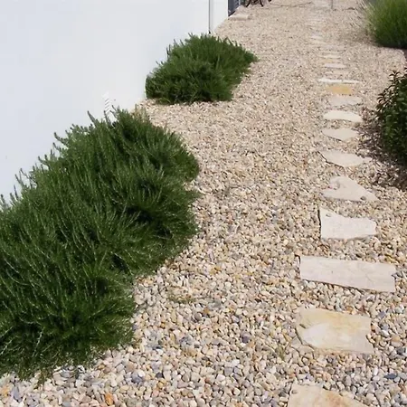 Casa Ceedina & Beauty バターリャ