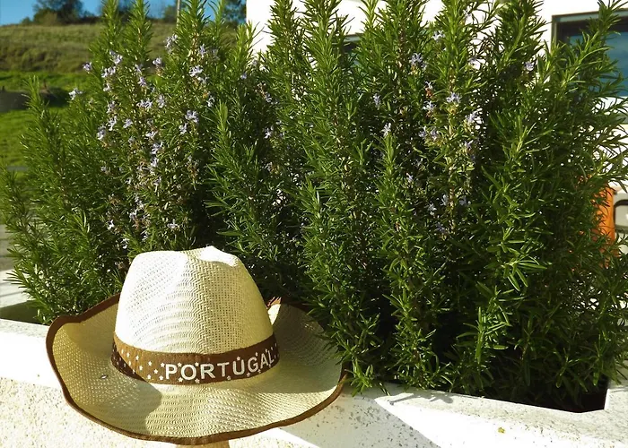 Casa Ceedina & Beauty 4*